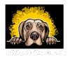 Royal Weima Home